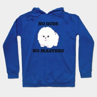 No Gods, No Masters Hoodie